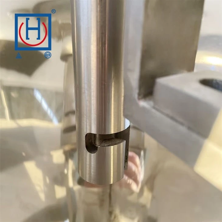 Psyllium Husk Powder Packing Machine